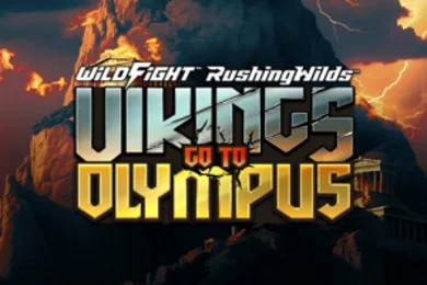 Vikings Go To Olympus Wild Fight